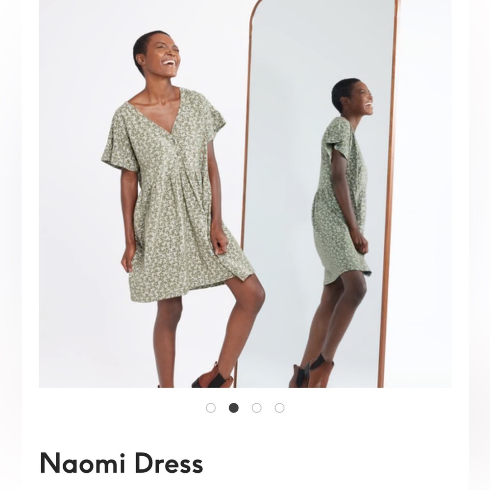 NWT Naomi Swing Dress